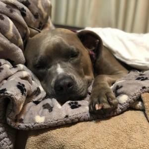 Meet your Posher, Kris